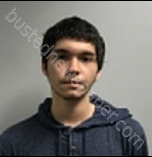 REBOLLEDO, JONATHAN THOMAS #, Haywood County, North Carolina - 2020-05-28 14:48:00