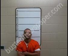 LOGAN ASLINGER | 2020-05-28 21:36:00 Morgan County, Tennessee Booking