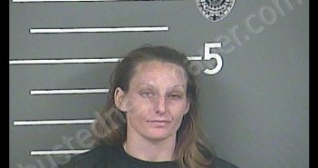 JESSICA L GANNON | 2020-05-29 00:15:00 Pike County, Kentucky Booking