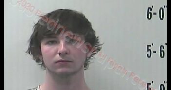 KYLE WAYNE DILTS | 2020-05-30 19:34:00 Pulaski County, Indiana Booking