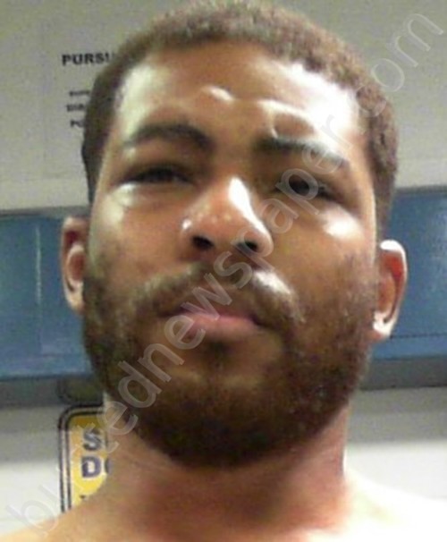 PADRON, NICHOLAS CHRISTOPHER #, Taylor County, West Virginia - 2020-05-30 13:30:00