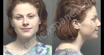 MIDDLETON,MEGAN RANEE | 2020-05-30 08:05:00 Saline County, Kansas Booking