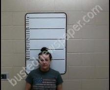 AMBER BURCHFIELD | 2020-05-31 10:54:00 Morgan County, Tennessee Booking