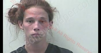 JACLYNN NOE | 2020-06-02 18:49:00 Pulaski County, Indiana Booking