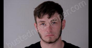 JACOB THOMAS LEHNER | 2020-06-02 10:44:00 Gratiot County, Michigan Booking