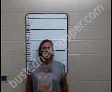 JAMES GOSSETT | 2020-06-03 19:41:00 Morgan County, Tennessee Booking