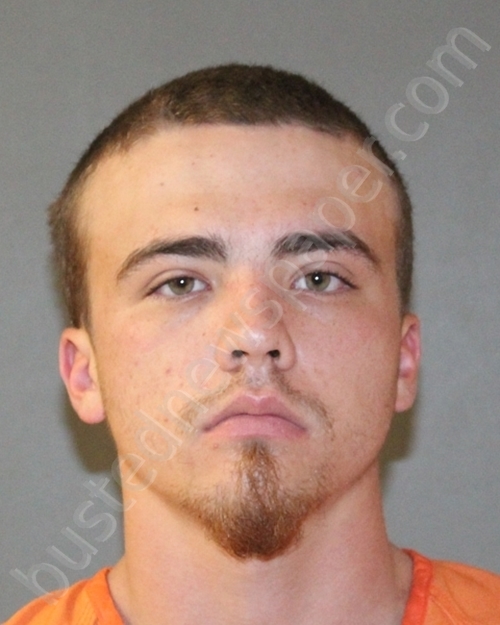 ROMANELLI,DANNIELL #, Titus County, Texas - 2020-06-03