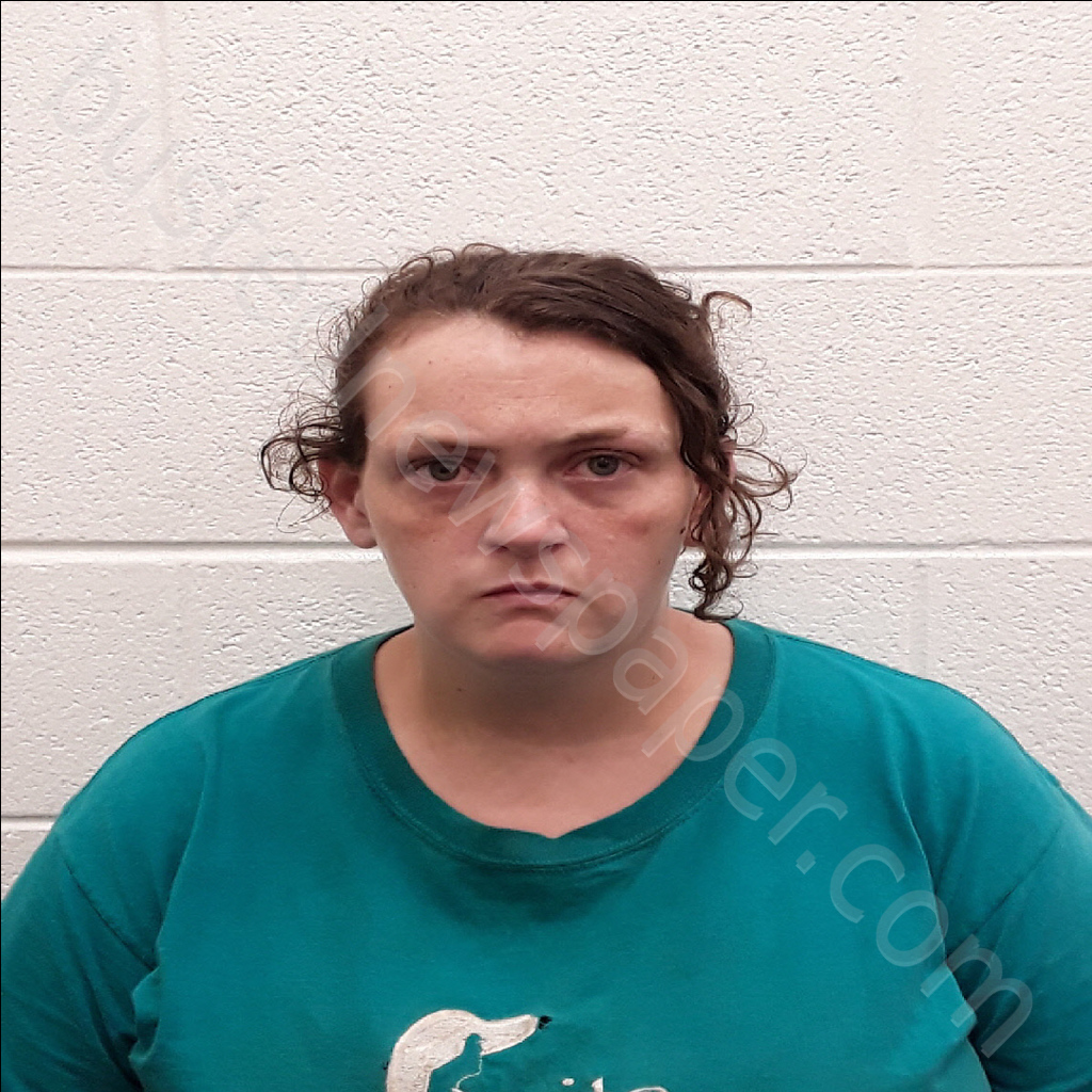 WOOTEN, VICTORIA E. #, Monroe County, Tennessee - 2020-06-04 00:25:00