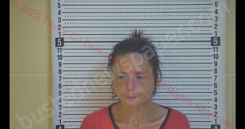 CRYSTAL A DESLONGCHAMPS | 2020-06-04 13:05:00 Taylor County, Kentucky Booking