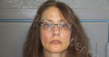 HAKE, CHRISTINA MARIE | 2020-06-04 10:00:00 Taylor County, West Virginia Booking