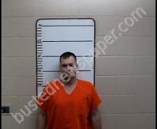 MICHAEL BRASHEARS | 2020-06-05 15:42:00 Morgan County, Tennessee Booking