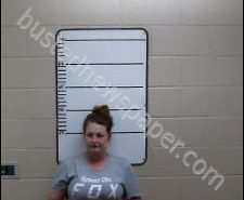 JESSICA DAVIS | 2020-06-05 13:27:00 Morgan County, Tennessee Booking