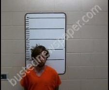 ANDREW LADD | 2020-06-05 04:38:00 Morgan County, Tennessee Booking