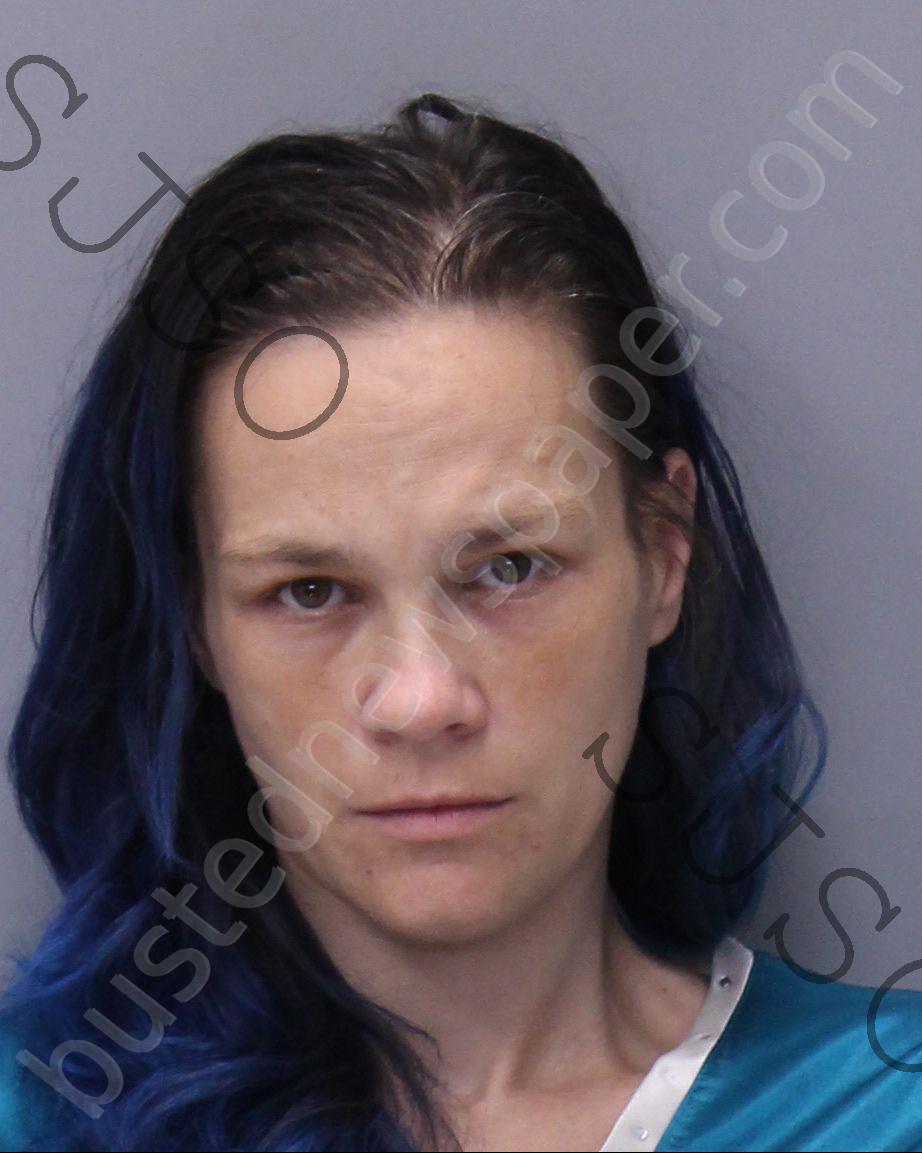 HAGER, JESSICA LEIGH #, St. Johns County, Florida - 2020-06-05 12:06:00