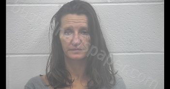 AMANDA NICOLE BAUWENS | 2020-06-06 23:19:00 Kenton County, Kentucky Booking