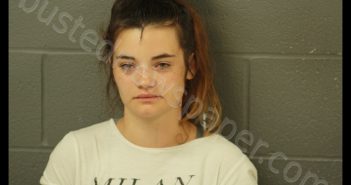 SOPHIA L TAUBE | 2020-06-07 00:02:00 Cooper County, Missouri Booking