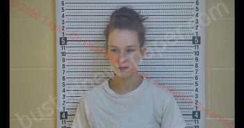NATALIE J RIGGS | 2020-06-08 06:06:00 Taylor County, Kentucky Booking