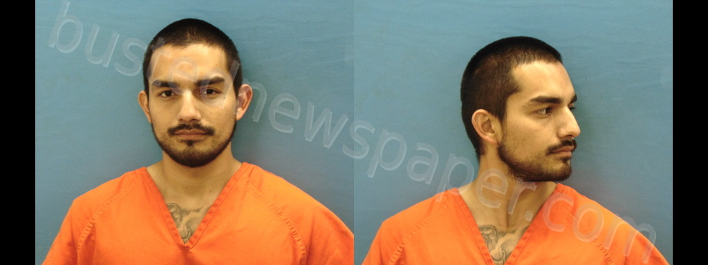LOMAS, ROGER ELIJAH ALEXANDER #, Guadalupe County, Texas - 2020-06-08