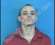 JAMES JONES | 2020-06-08 02:31:00 Sullivan County, Tennessee Booking