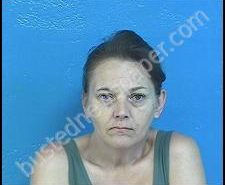 DEBORAH WRIGHT | 2020-06-08 02:35:00 Sullivan County, Tennessee Booking