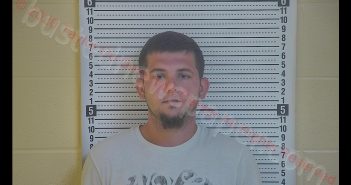 ZACHARIAH C DAVIS | 2020-06-08 13:44:00 Taylor County, Kentucky Booking