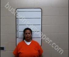 REBECCA LANE | 2020-06-08 21:54:00 Morgan County, Tennessee Booking