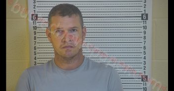 BRANDON L DAVIS | 2020-06-10 12:12:00 Taylor County, Kentucky Booking