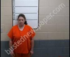 DELETTA CARROLL | 2020-06-10 02:07:00 Morgan County, Tennessee Booking