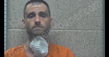 ROY LEE PARAGON | 2020-06-11 22:37:00 Henderson County, Kentucky Booking