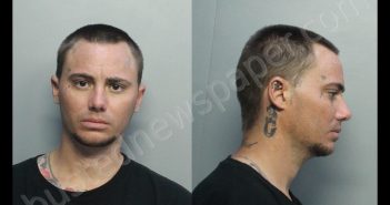 TOLLI, COREY | 2020-06-11 17:27:00 Miami-Dade County, Florida Booking