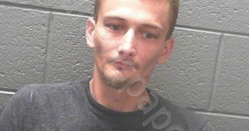 POLING, CHRISTOPHER MICHAEL | 2020-06-12 01:15:00 Taylor County, West Virginia Booking