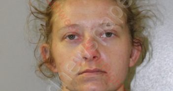 JULIE ANN COX | 2020-06-12 Southwest Regional Jail, Virginia Booking