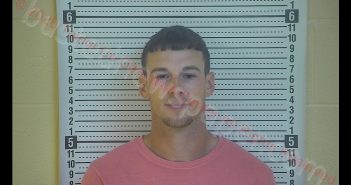 CODIE T BRYANT | 2020-06-12 19:55:00 Taylor County, Kentucky Booking