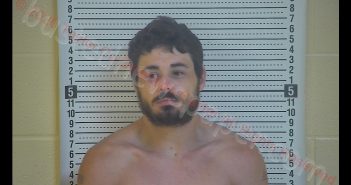 WILLIAM A. HARDESTY | 2020-06-12 10:06:00 Taylor County, Kentucky Booking