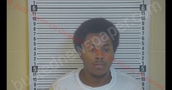 BRYSON SLEET | 2020-06-12 12:21:00 Taylor County, Kentucky Booking