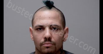 ANTHONY WAYNE HIRT | 2020-06-12 17:11:00 Gratiot County, Michigan Booking