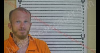 CHRISTOPHER S REYNOLDS | 2020-06-13 23:34:00 Taylor County, Kentucky Booking