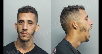 MORALES-HERBELLO, LAZARO JAHNI | 2020-06-13 11:41:00 Miami-Dade County, Florida Booking