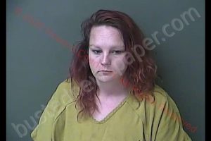 ASHLEY DAWN ARCHER | 2020-06-13 02:16:46 Howard County, Indiana Booking