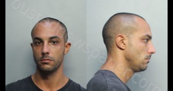 PRINCIPE, GIACOMO | 2020-06-13 22:06:00 Miami-Dade County, Florida Booking