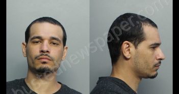 CASAS, LEE | 2020-06-13 12:53:00 Miami-Dade County, Florida Booking