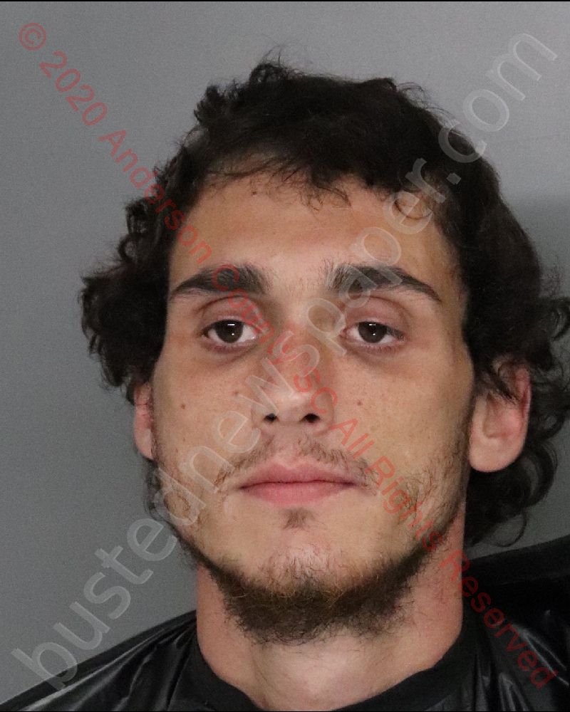 DALTON GAVIN JACKS #, Anderson County, South Carolina - 2020-06-13 00:52:00