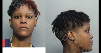 SMITH, TATYANNA S | 2020-06-13 21:59:00 Miami-Dade County, Florida Booking