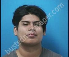 ELVIS NAVARRO | 2020-06-13 03:59:00 Williamson County, Tennessee Booking