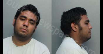 AREASBONE, HANSON DANILO | 2020-06-13 14:57:00 Miami-Dade County, Florida Booking