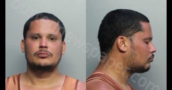 GONZALEZ, JESUS ALBERTO | 2020-06-13 22:14:00 Miami-Dade County, Florida Booking
