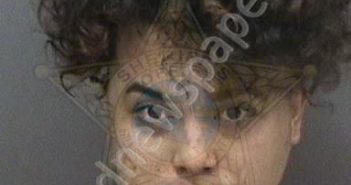 <B>RODRIGUEZ</B>,<B>ANGEL</B> #, Hillsborough County, Florida - 2020-06-13 23:49:00