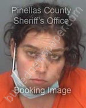 PERSSON, SHANTEL ELIZABETH #, Pinellas County, Florida - 2020-06-14 09:53:58