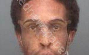 DAVIS, JARREAU ALEXANDER | 2020-06-14 12:08:22 Pinellas County, Florida Booking