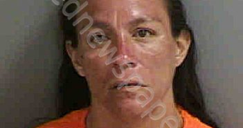 <B>ROBLES</B>,<B>JULIE</B> <B>ANN</B> #, Collier County, Florida - 2020-06-14